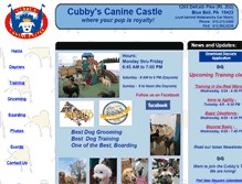 Tablet Screenshot of cubbyscaninecastle.com